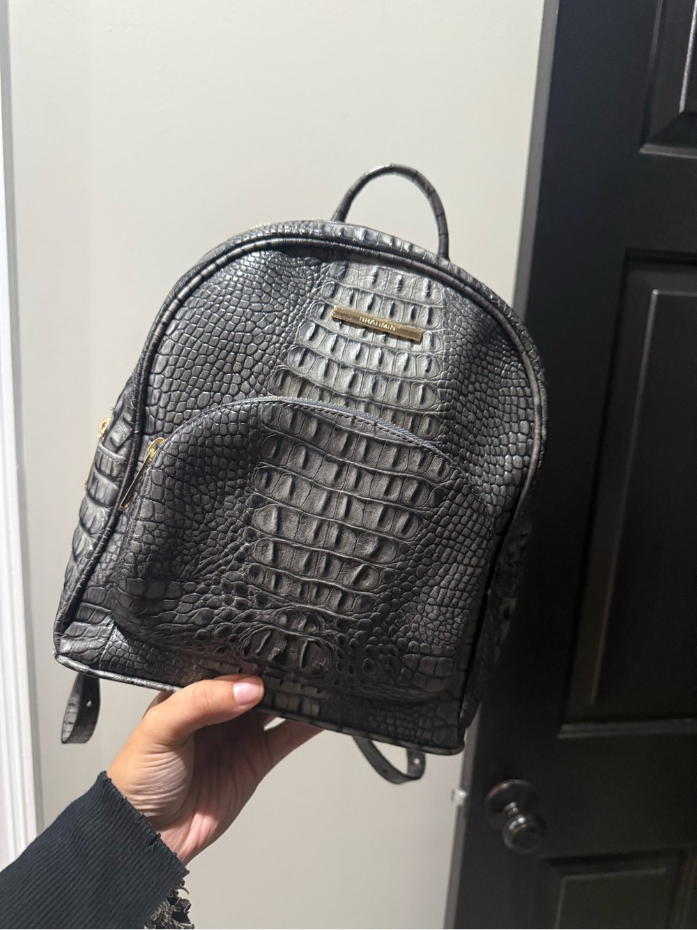 Brahmin Purse